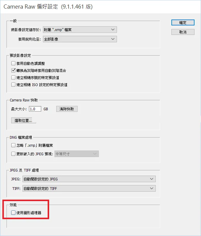 Camera Raw 偏好設定視窗，效能區段的使用圖形處理器選項