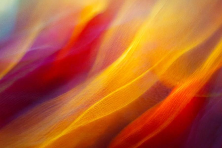 Adobe 宣布更新使用條款以加強透明度和用戶保護