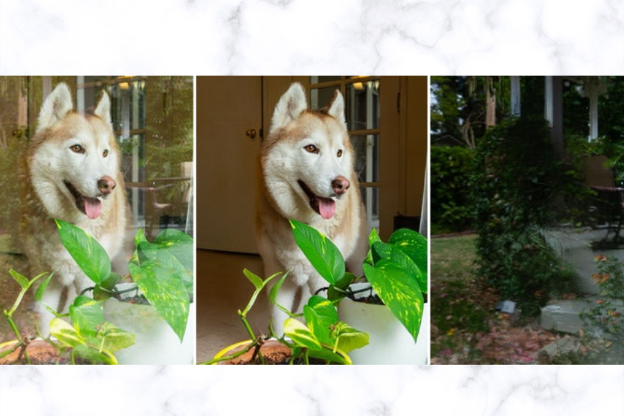 Adobe Camera Raw 全新功能，輕鬆移除玻璃反光，提升攝影後製效率