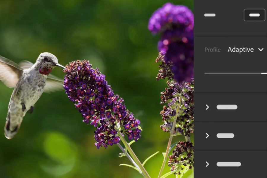 Adobe Lightroom 推出全新功能，提升攝影編輯體驗