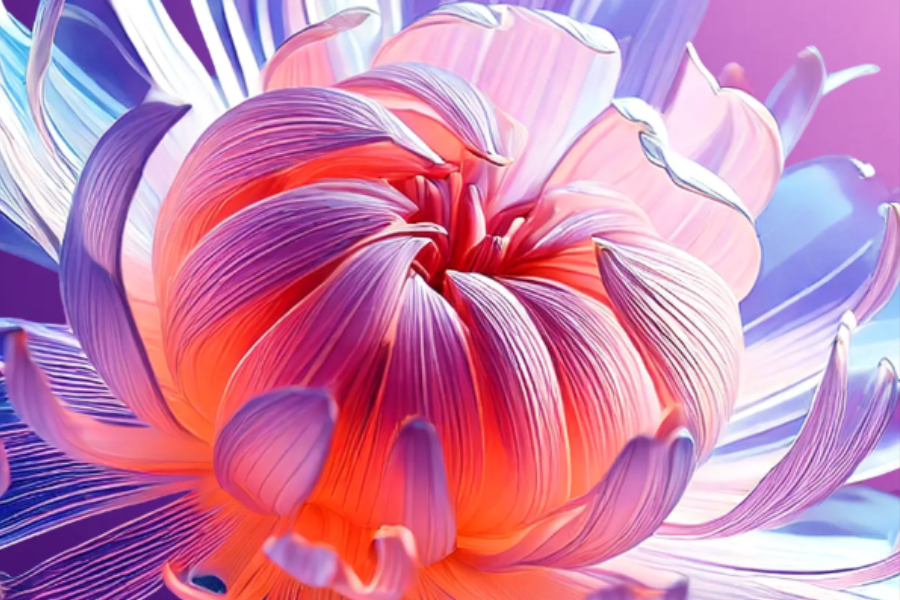 Creative Cloud Pro 計劃亮相，Adobe 北美宣布訂閱方案全面升級